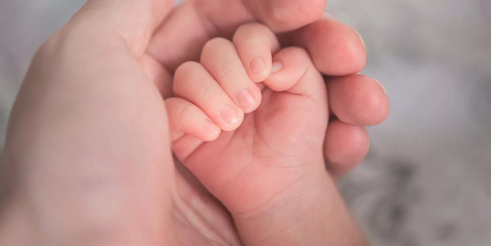Heavn : La main d’une personne tenant la main d’un bébé.